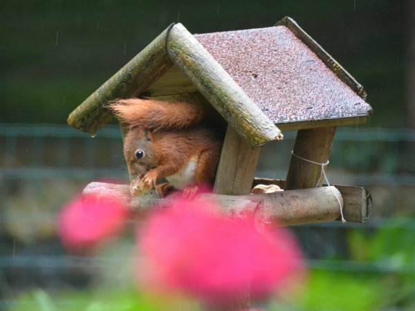 Gute Freunden im Garten